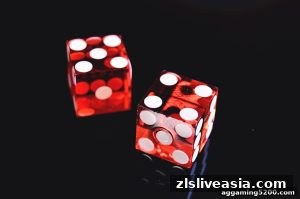 AG真人 zlsliveasia